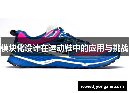 模块化设计在运动鞋中的应用与挑战